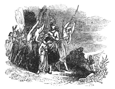 Golden Flower Golden Flower