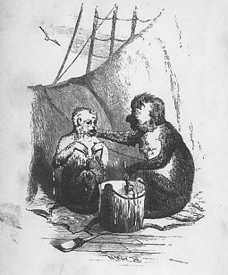 The Monkey Painter i001