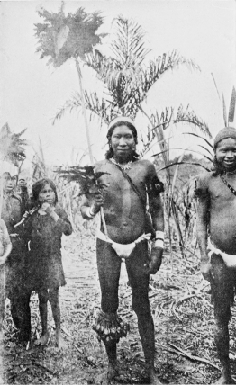 GUAMARES INDIANS, OF THE HUITOTO TRIBE, IN DANCE COSTUME.

To face p. 162.