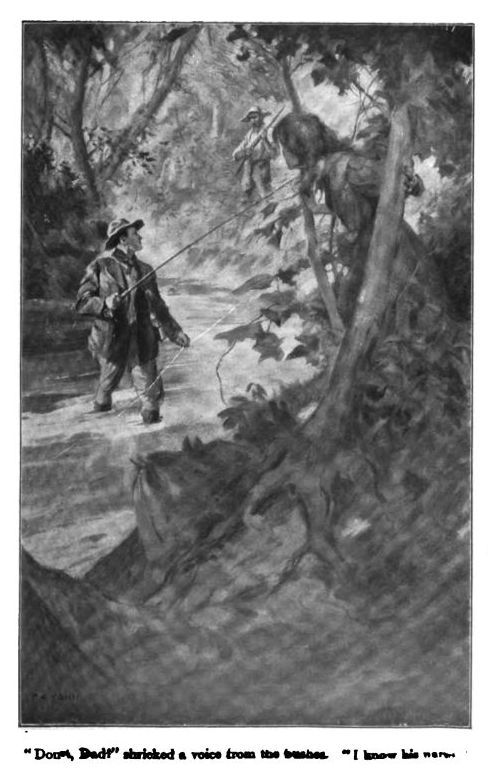 'don't, Dad!' Shrieked a Voice from the Bushes, 0034