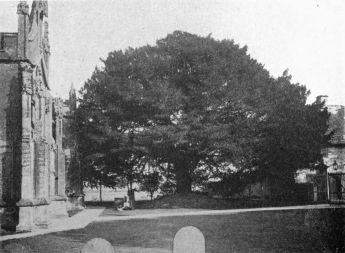 [Image unavailable.]