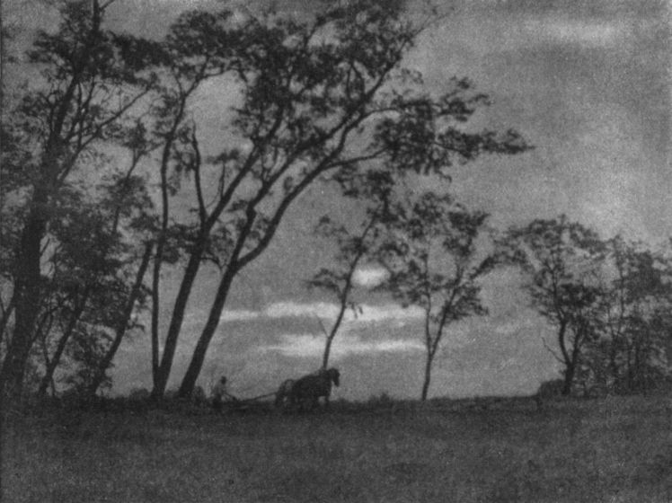 THE HUSBANDMANBy O. C. Reiter, Pittsburgh, Pa. THE HUSBANDMAN, By O. C. Reiter, Pittsburgh, Pa.