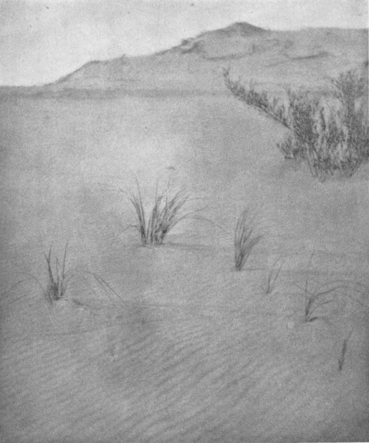 SHIFTING SANDBy Charles Vandervelde, Grand Rapids, Mich. SHIFTING SAND, By Charles Vandervelde, Grand Rapids, Mich.