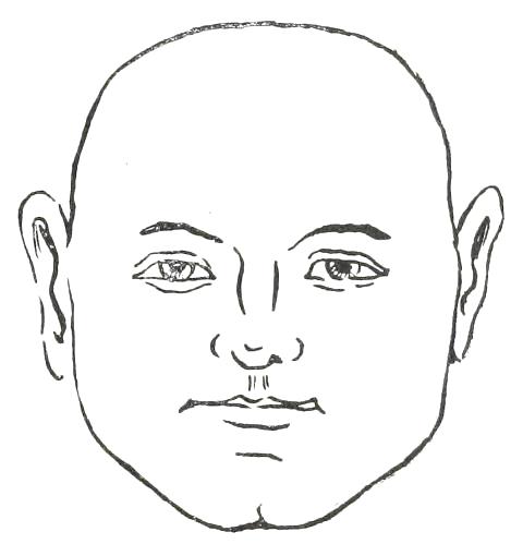 Fig. 18

BROAD FACE