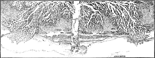 Tailpiece for “T. Tembarom