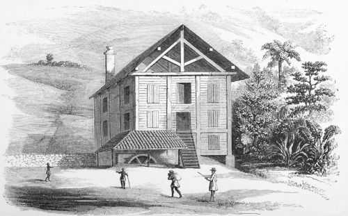 Plate 6.—The Pulping House, Messrs. Worms’ Estate,
Puselawa.